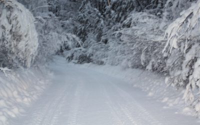 Saturday, December 4, 2010