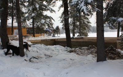 Sunday, December 5, 2010