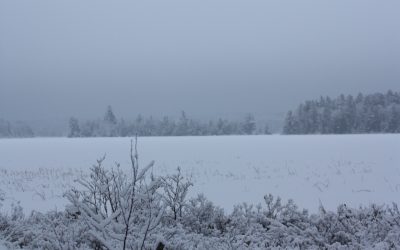 Sunday December 16, 2012