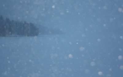 Thursday, December 9, 2010