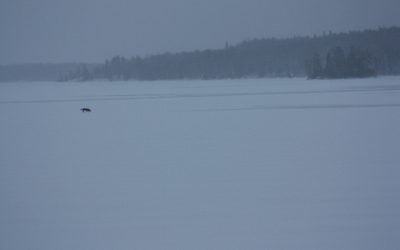 Friday, December 10, 2010