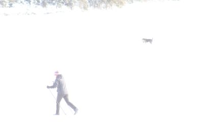 Monday, December 13,  2010