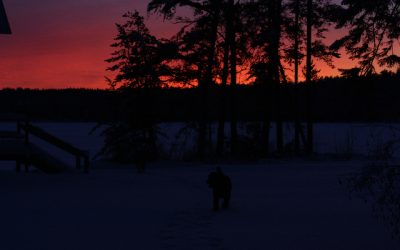 Tuesday, December 14, 2010