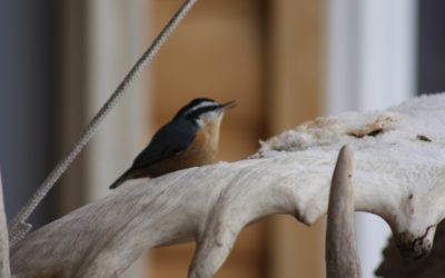 Wednesday December 19, 2012