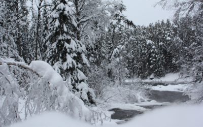 Friday, December 17, 2010