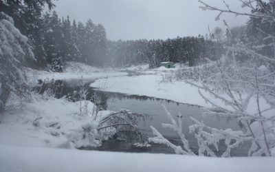 Saturday, December 18, 2010