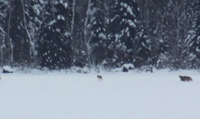 Sunday, December 19, 2010