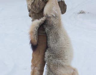 Monday, December 20, 2010