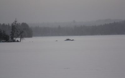 Monday December 24, 2012