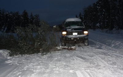 Tuesday, December 21, 2010