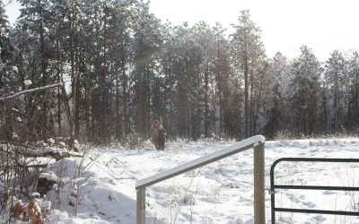 Friday December 28, 2012