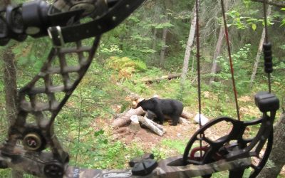 Sunday September 9, 2012