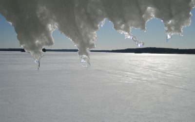 Sunday, February 27, 2011