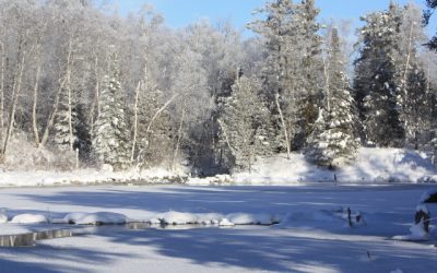 Tuesday, December 28, 2010