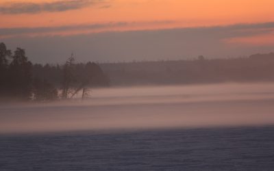 Tuesday January 8, 2013