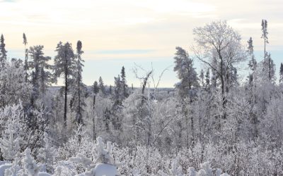 Tuesday, January 11, 2011