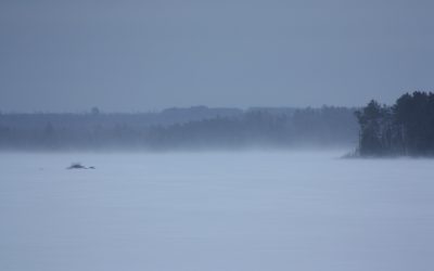 Wednesday January 9, 2013