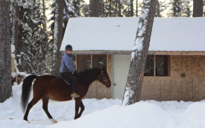 Thursday, December 30, 2010