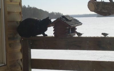 Thursday, March 10, 2011