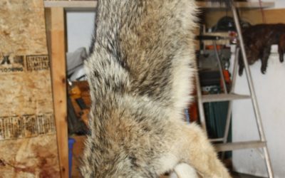 Tuesday January 15, 2013