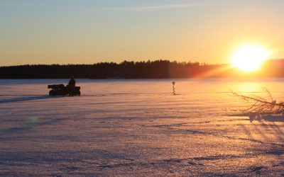 Wednesday, December 29, 2010