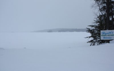 Friday, December 31, 2010