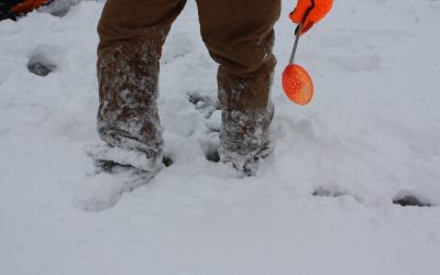 Wednesday, January 12, 2011