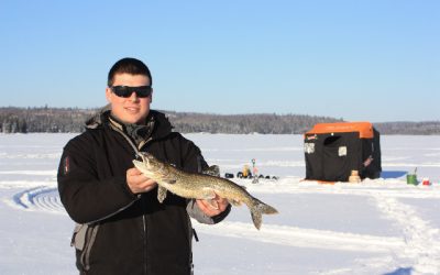 Saturday, January 8, 2011