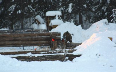 Sunday, January 9, 2011