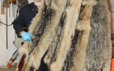 Friday January 18, 2013