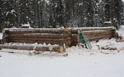 Saturday, January 15, 2011