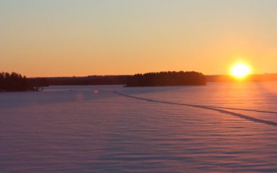 Sunday, January 16, 2011