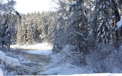 Tuesday, January 18, 2011