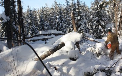 Monday, January 17, 2011