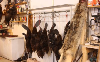 Tuesday January 22, 2013