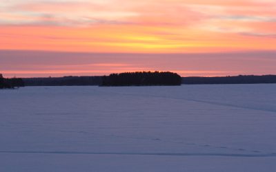 Friday, January 21, 2011