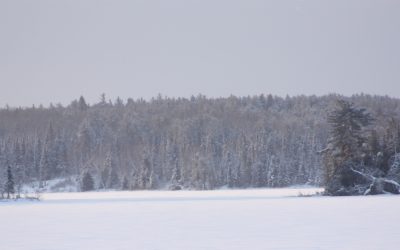 Friday January 25, 2013