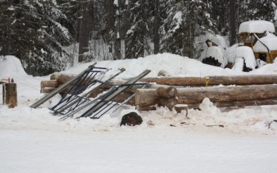 Tuesday, January 25, 2011