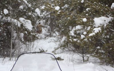 Friday, January 28, 2011