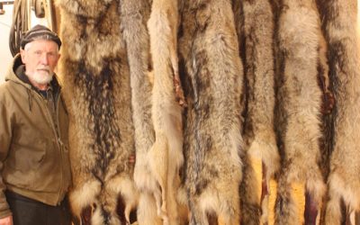 Friday February 1, 2013