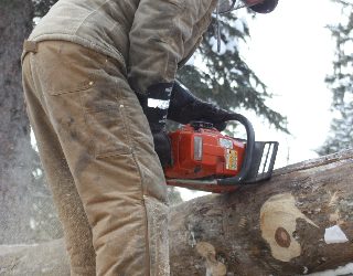 Tuesday, February 1, 2011