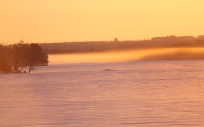 Saturday February 2, 2013