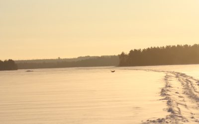 Sunday February 3, 2013