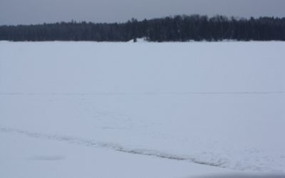 Monday, February 7, 2011