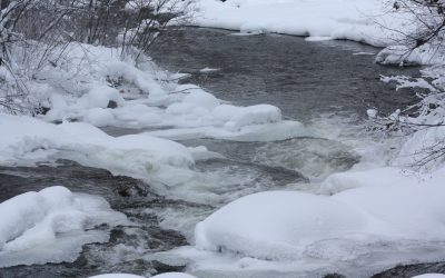 Wednesday February 6, 2013