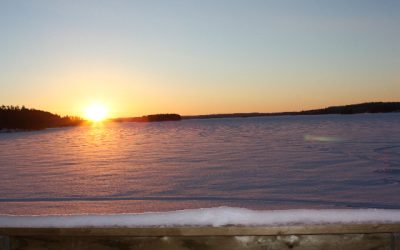 Saturday, February 12, 2011