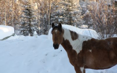 Tuesday February 5, 2013