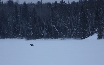 Thursday February 7, 2013