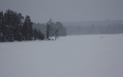 Friday February 8, 2013