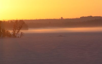 Wednesday, February 16, 2011